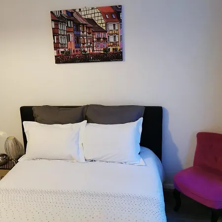 Apartamento La P'tite Cigogne Colmar